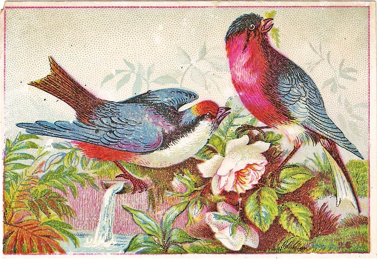 free vintage clip art birds - photo #14