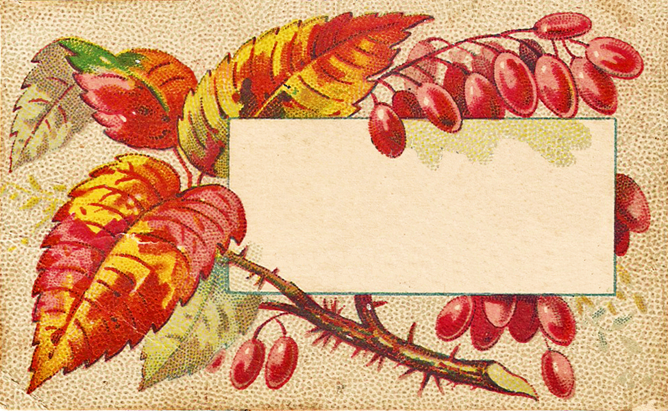 vintage leaf clip art - photo #29