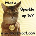 Sparkle's other blog