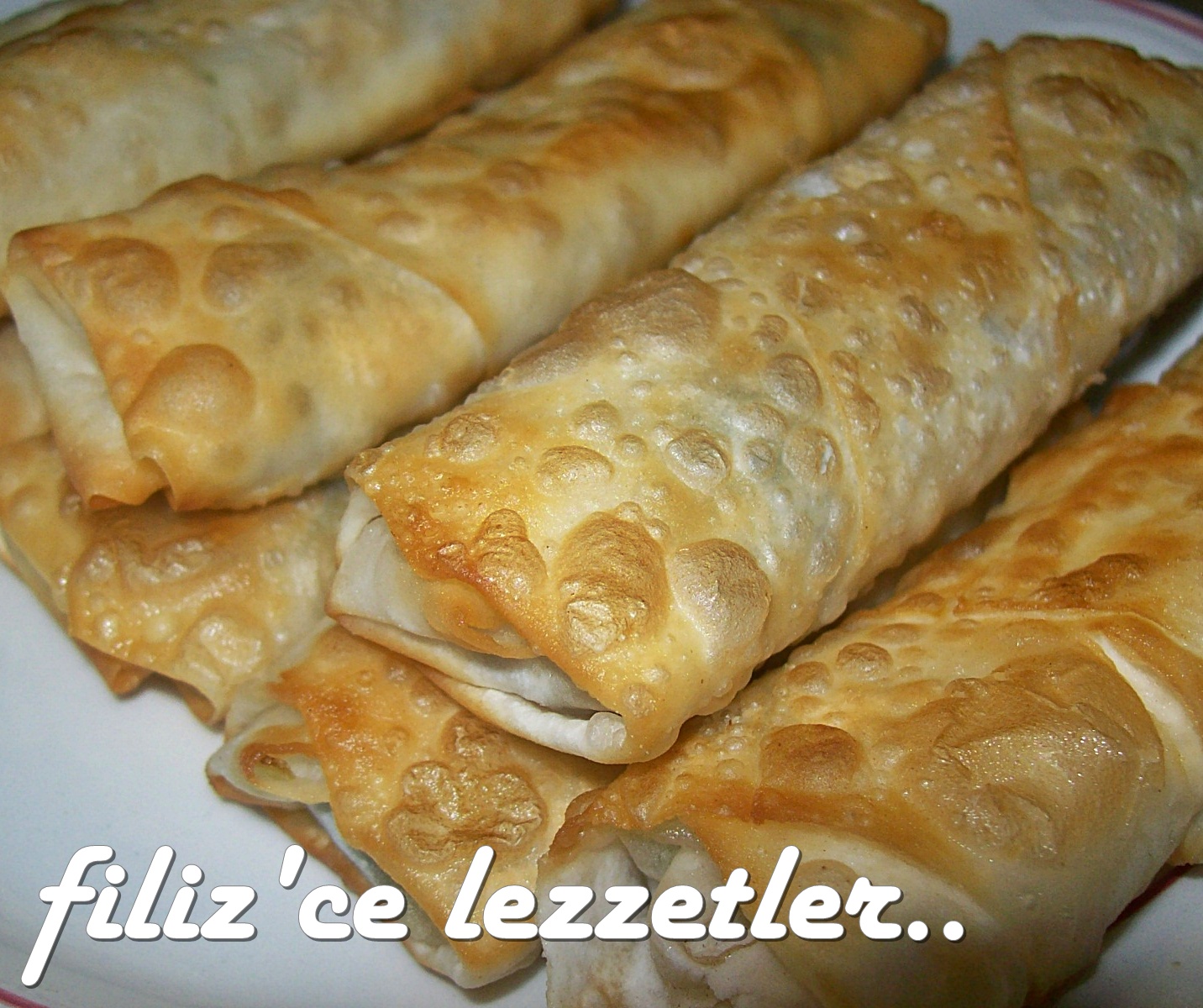 mantarlı ıspanaklı çıtır börek