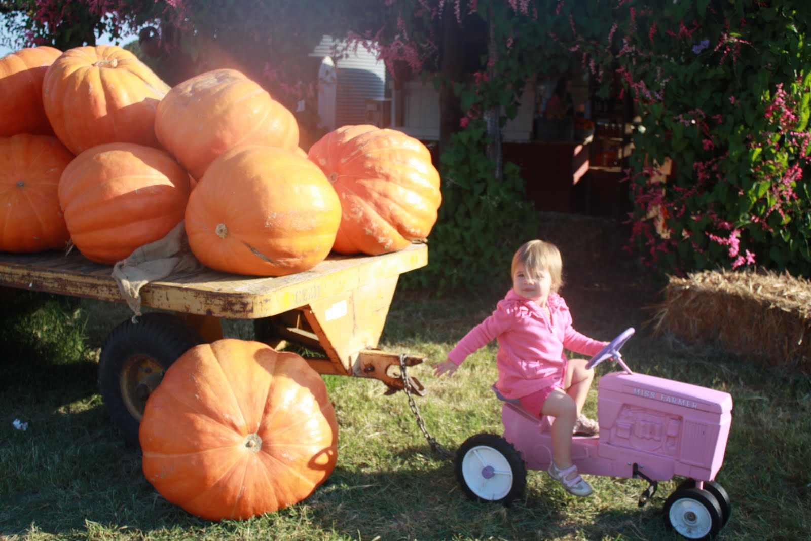 Austin Eaves Sweet Berry Farm