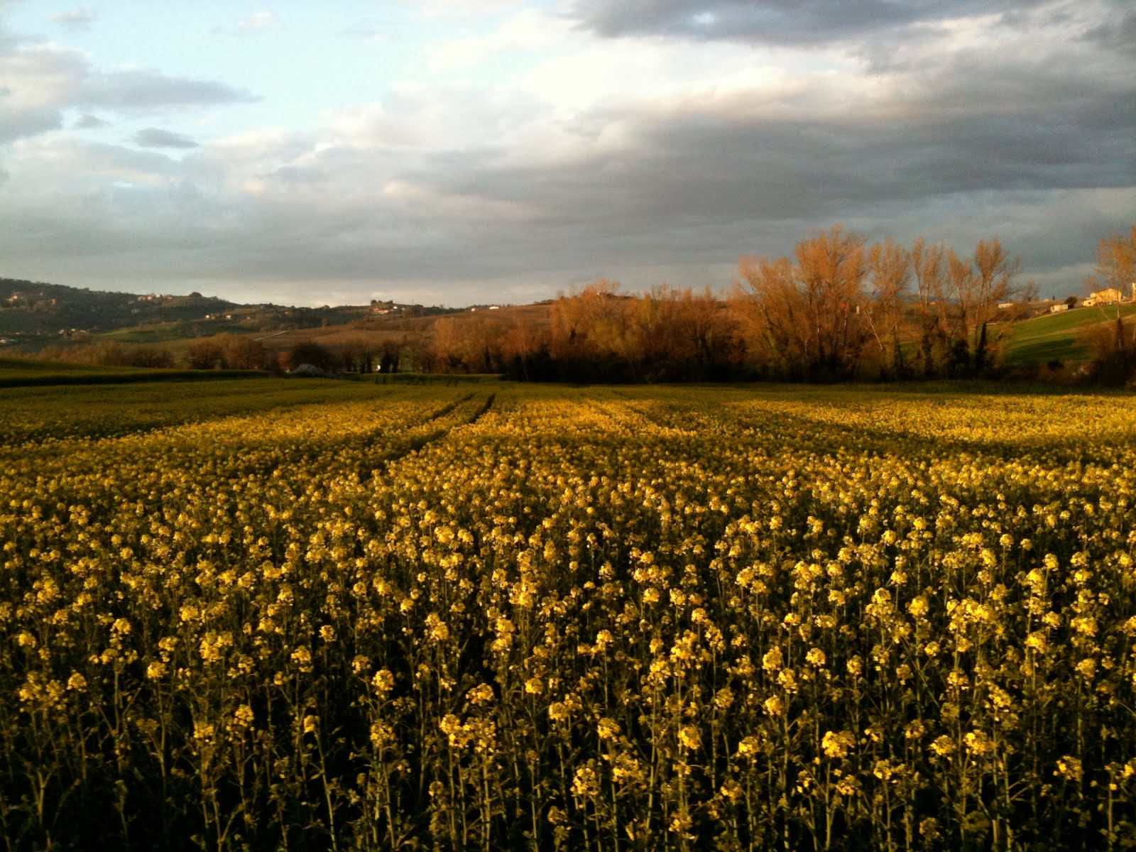 Pictures of Tuscany in May