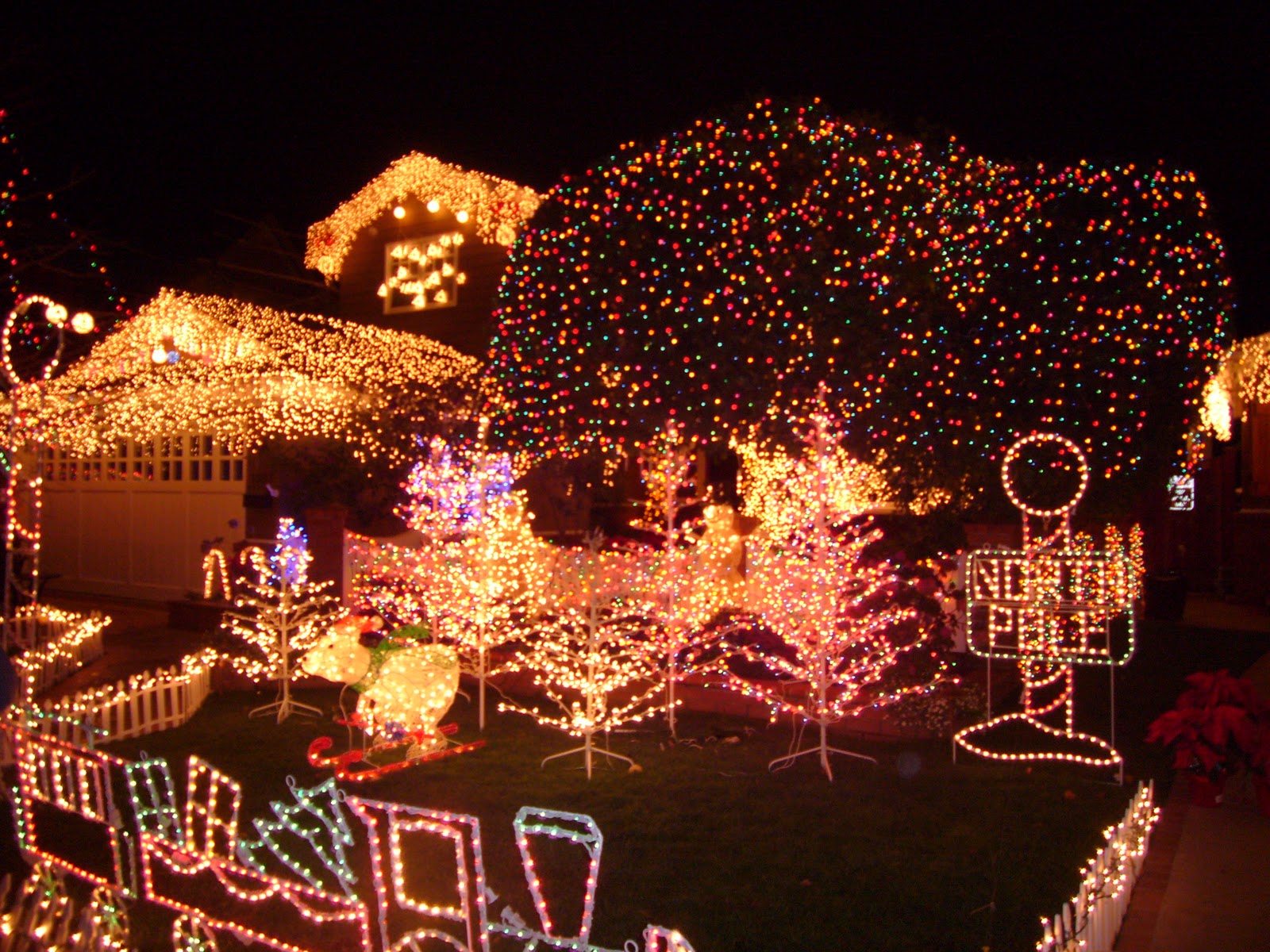 Like Life Laugh クリスマスライト