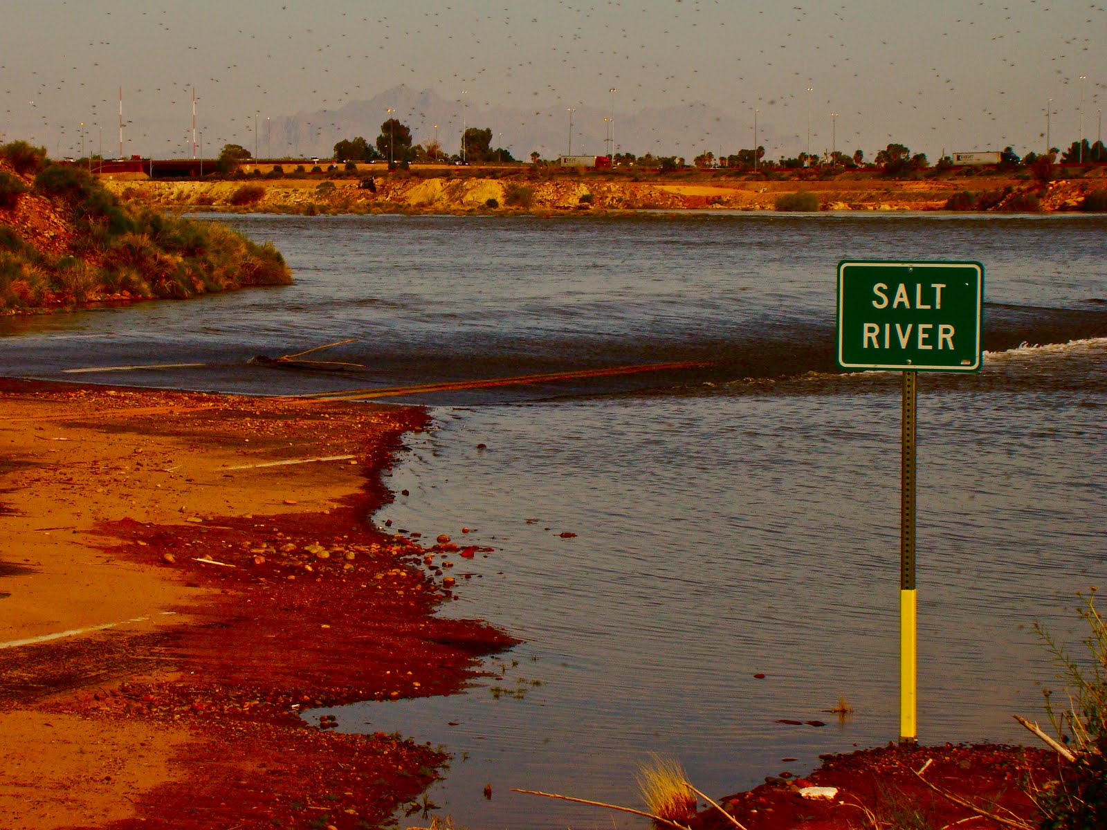 Scottsdale Daily Photo Photo Salt River Flooding