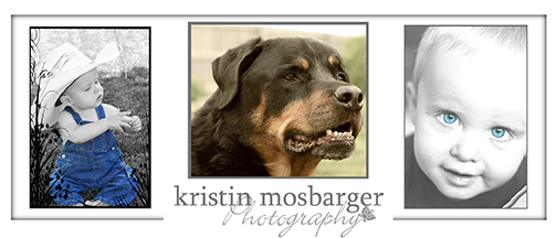 kristin mosbarger photography