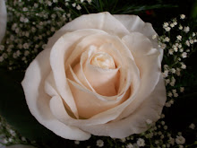 White Roses from Rob