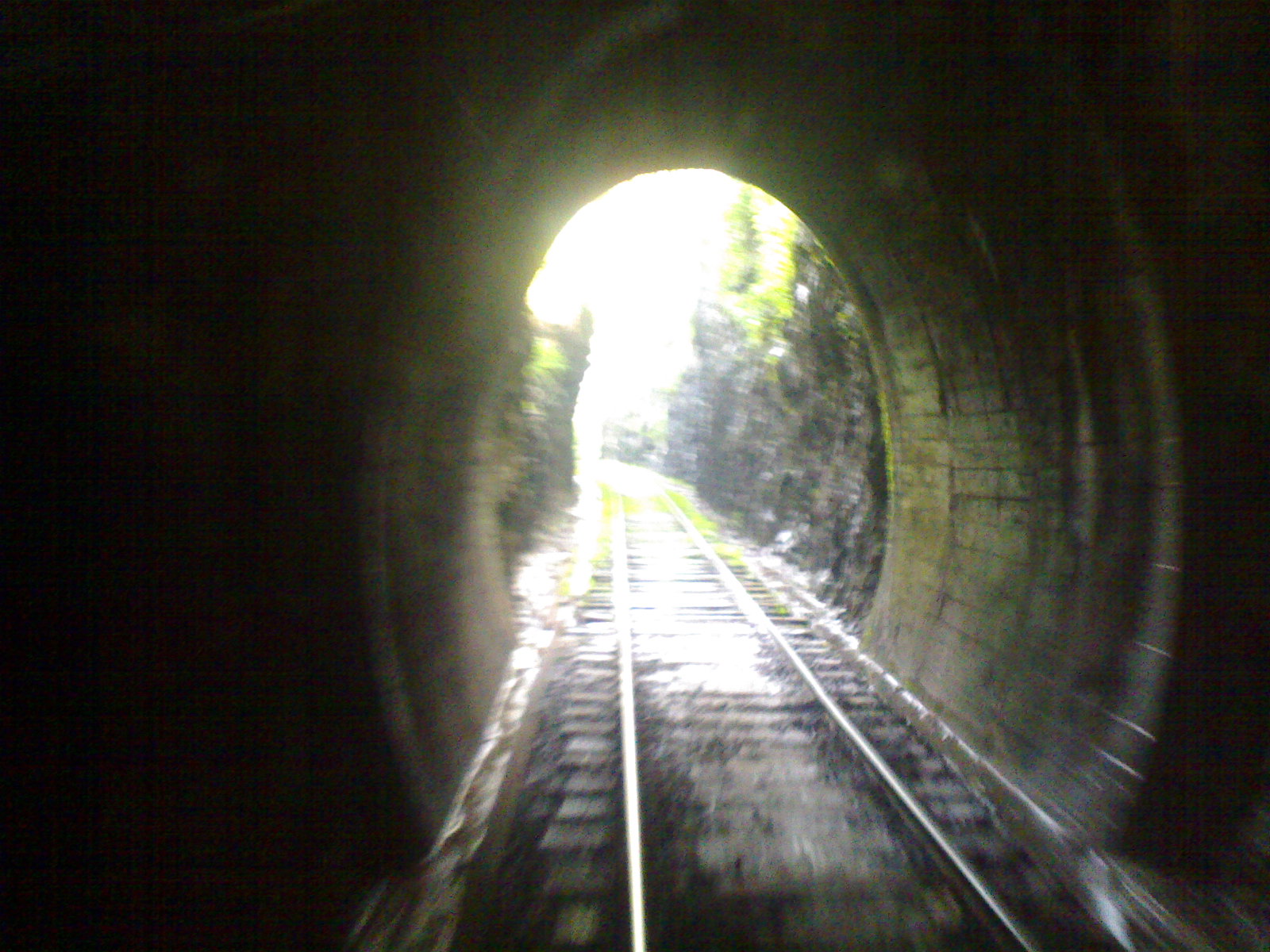 20090401964.jpg