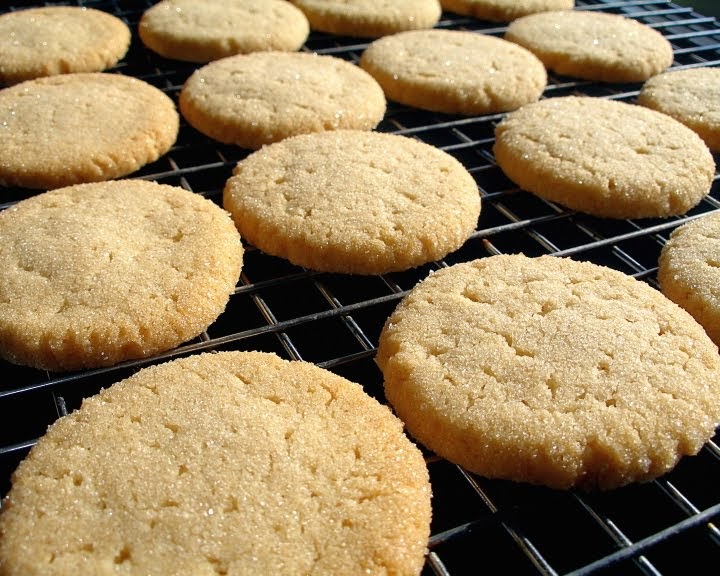 Ammonia Cookies that's Baker's Ammonia!