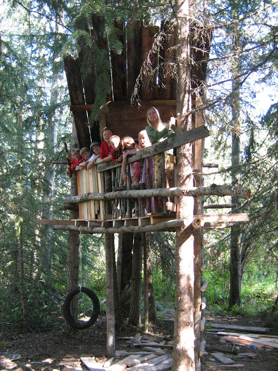 The new tree house