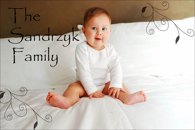 Sandrzyk Family Blog