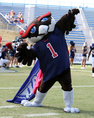 meet the owls: FAU Mascot: Owlsley Burrows