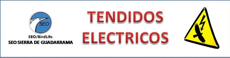TENDIDOS ELECTRICOS