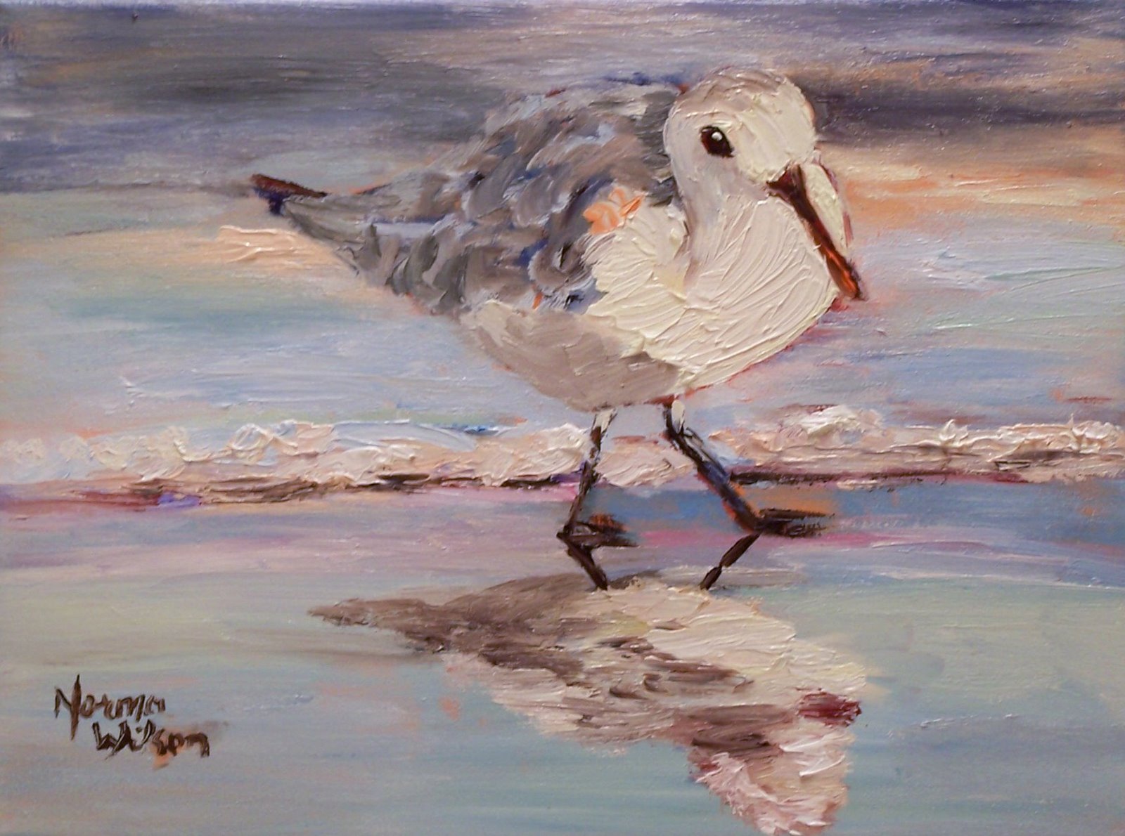 [Seagull+of+Summer.jpg]