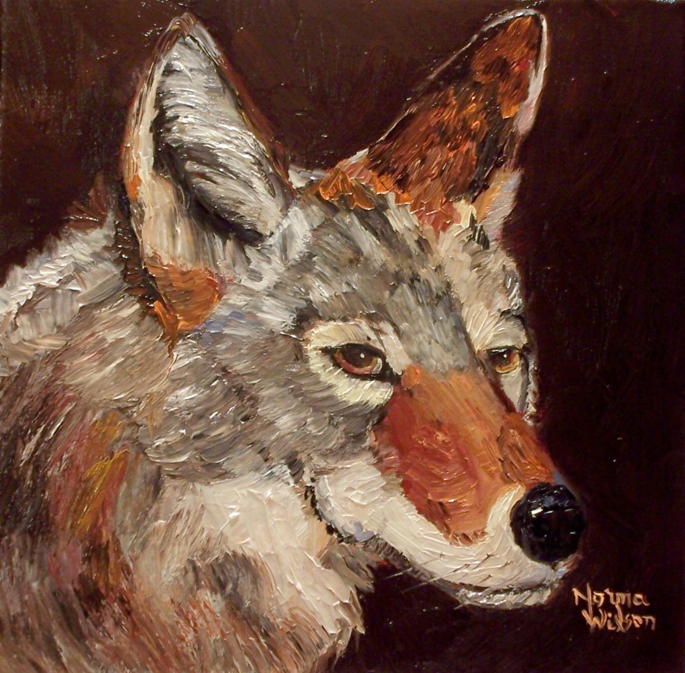 [Fiery+Coyote+Sits+In+Wait.jpg]