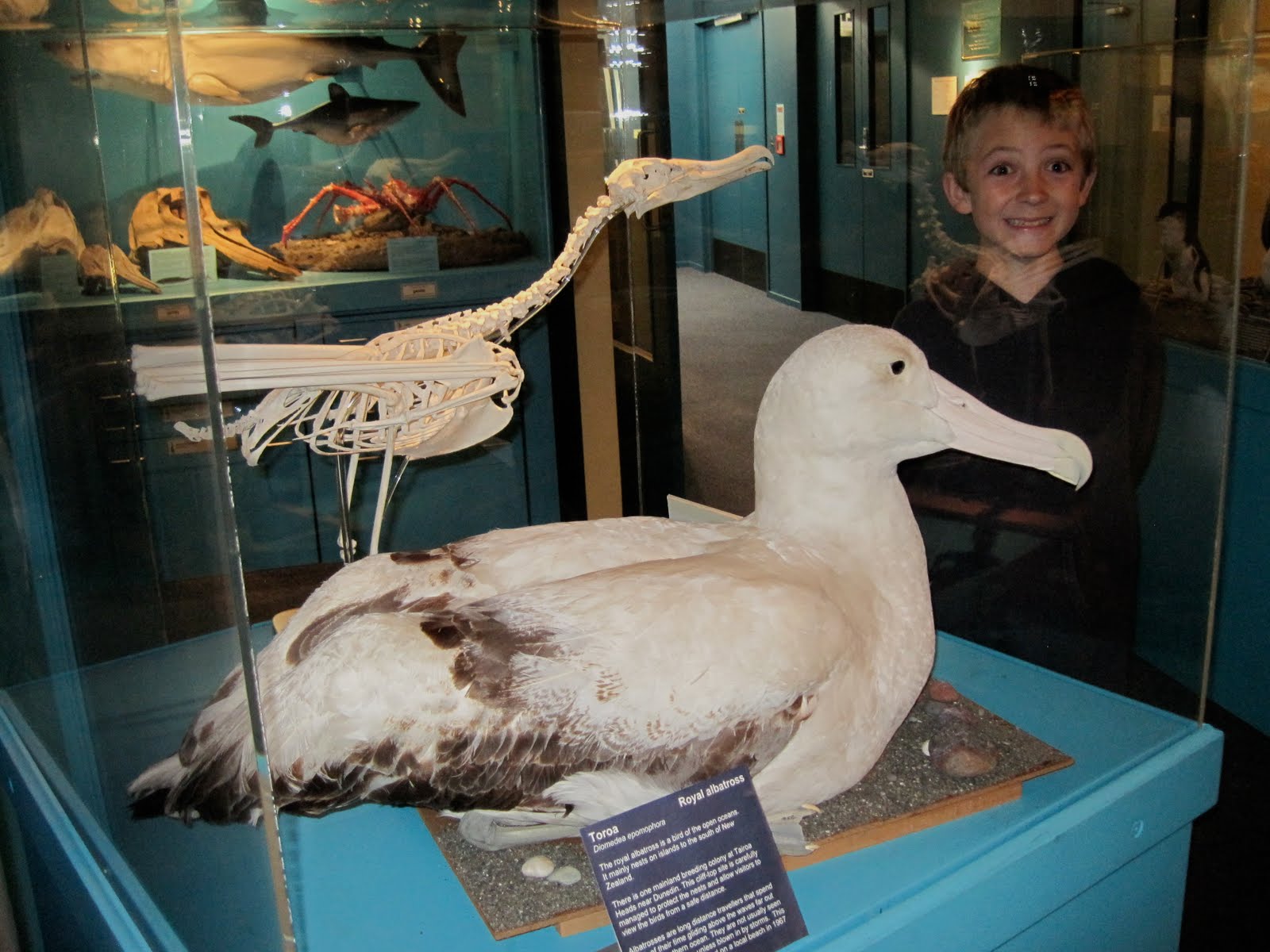 Williams Family Adventure: Timaru
