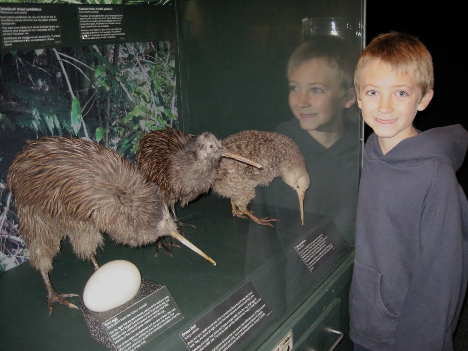 Williams Family Adventure: Timaru