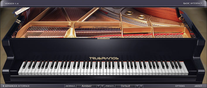 [Fig+5.+True+Pianos+Amber+Module.jpg]