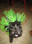 Ms. Wrigley Sue