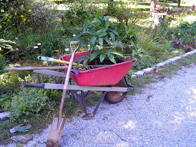 Old Country Gardens: 9/20/09 - 9/27/09