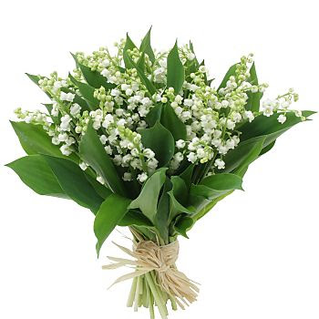 http://1.bp.blogspot.com/_NKzfLQV07cU/S9lazlgnnHI/AAAAAAAAEY4/_16WzIPViwo/s400/muguet.jpg