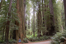 lunch with a big friend