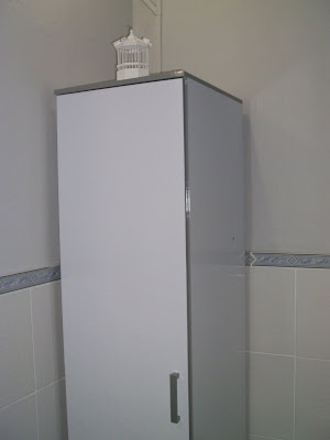 Casa de Juntados: Armário para lavanderia!