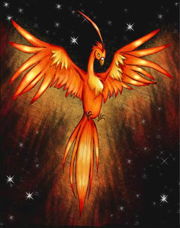 phoenix bird tattoos How to Draw a Phoenix Bird of