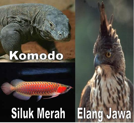 Flora Fauna  Identitas Indonesia  According Blog