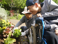 段の高い花壇に車椅子を寄せて花うえ