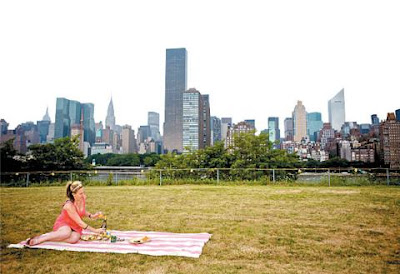 Picnic Area