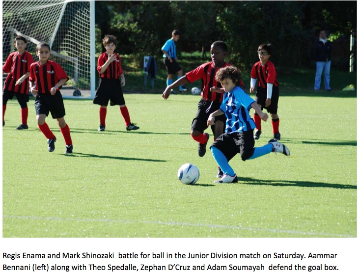 Roosevelt Islander Online Recap For Week 3 Of The Roosevelt Island