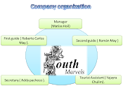 Company organization