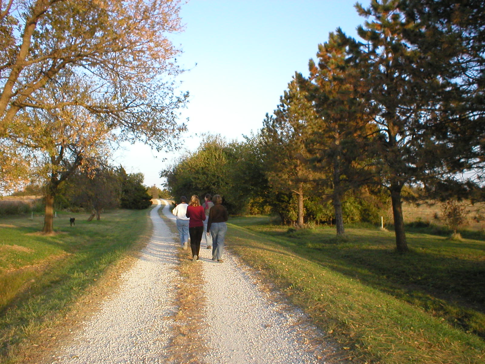 [walking-up-the-driveway.jpg]