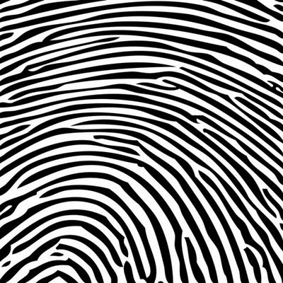 fingerprint pattern, okay.so archive: fingerprint pattern questions
