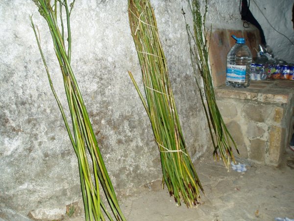 Ubrique natural El Día de los Gamones