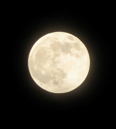 31/12/2009  ..a Full  & Blue Moon...