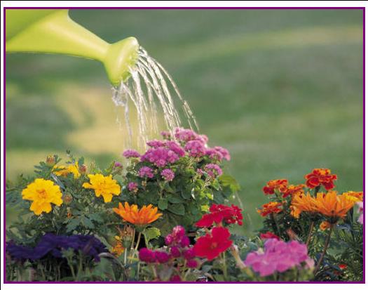 Happy Christian Home God s Garden happy-christian-home-god-s-garden