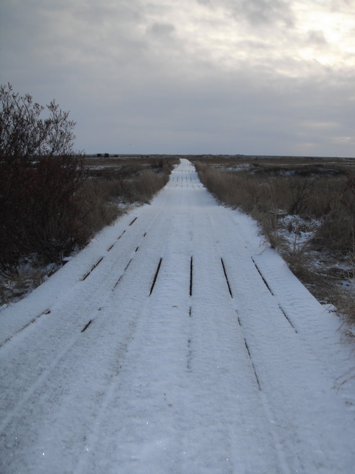 Alaska At Last From Eek, Alaska With Love