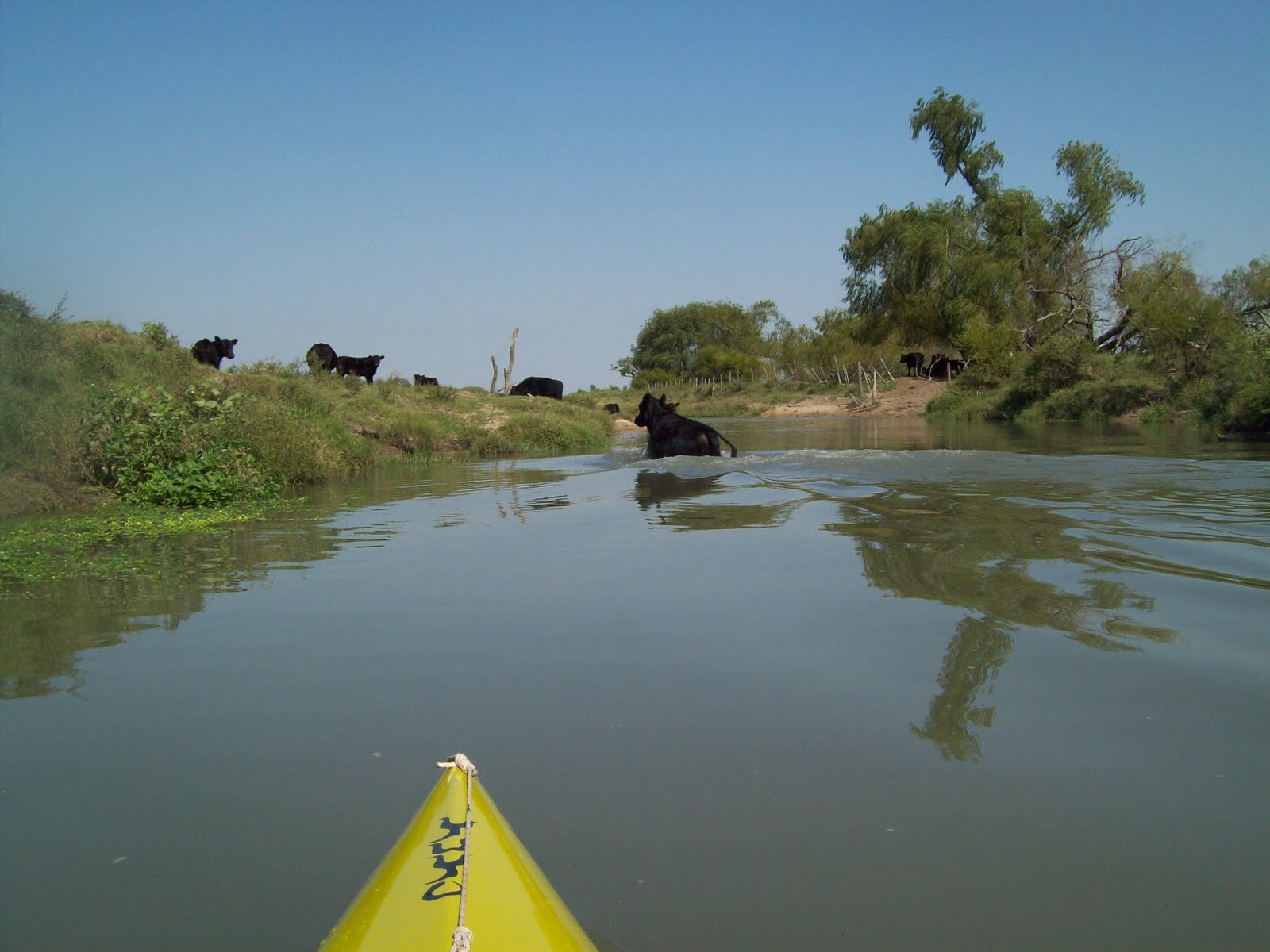 La Bitácora De Mi Kayak .Arroyo El Sauce.