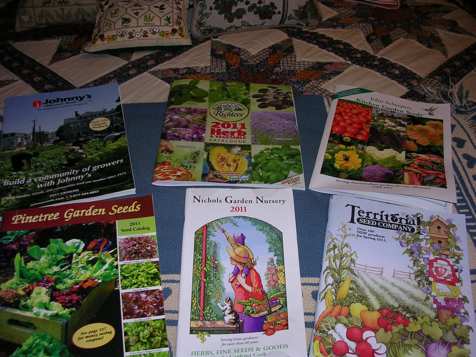 Lemon Verbena Lady S Herb Garden My Favorite Seed Catalogs For Herbs