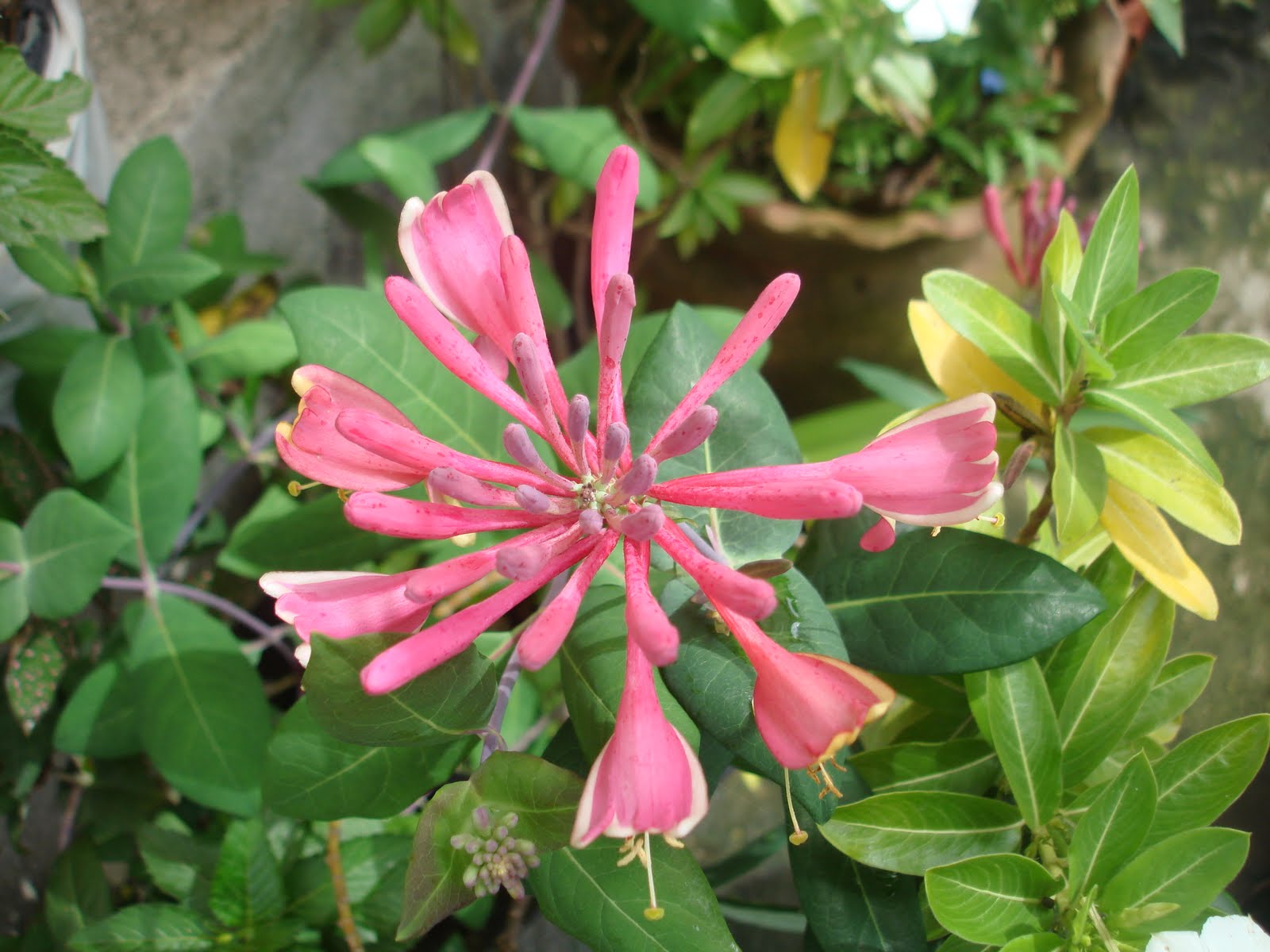 nice pics of blogger: agosto 2010