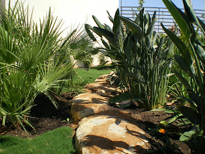 Francisco Cruz - Agricultura, Paisajismo, Césped deportivo: Urb. El Recreo