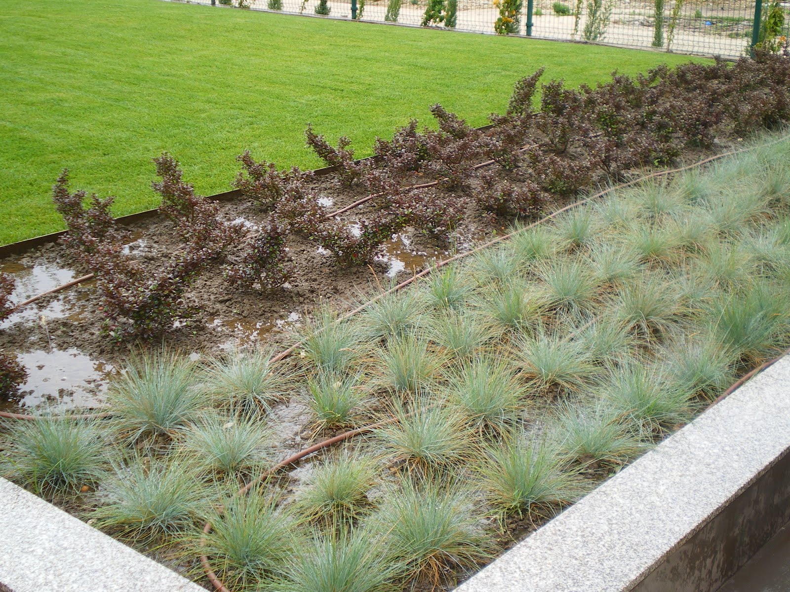 Francisco Cruz - Agricultura, Paisajismo, Césped deportivo: Perfección