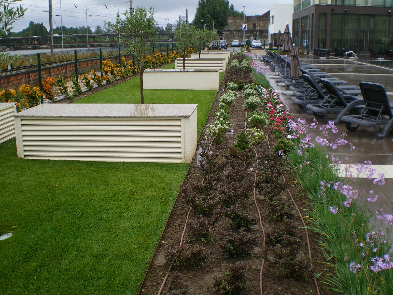 Francisco Cruz - Agricultura, Paisajismo, Césped deportivo: Perfección