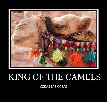 king of the camels