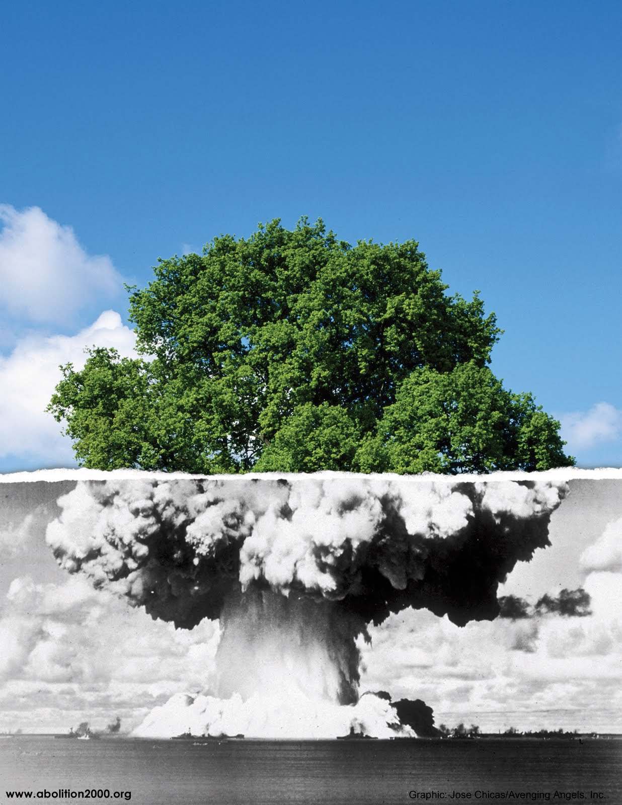 [nuke_tree_300_8_5_www.jpg]