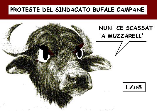 [bufala%20VIGNETTA.jpg]