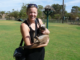 Cute Baby Kanga!