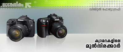 High-end Digital Cameras: Bridge Cameras and Digital Single Lens Reflex Cameras.