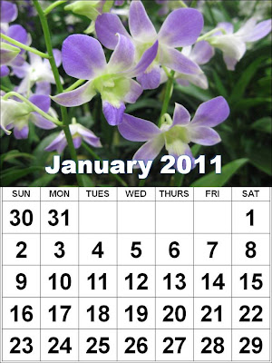 Desktop Wallpaper January 2011. Printable January 2011calendar